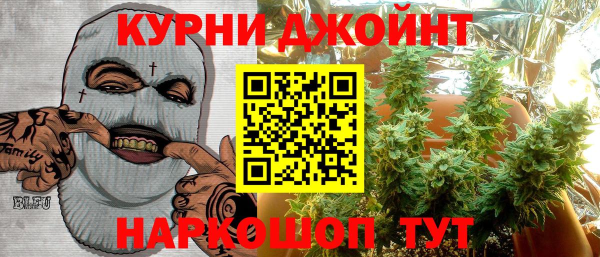 Конопля SATIVA & INDICA Грозный
